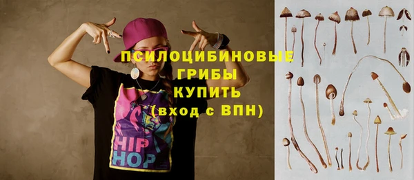 прущий лед Краснослободск