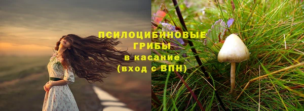соль ск Краснотурьинск