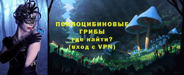 соль ск Краснотурьинск