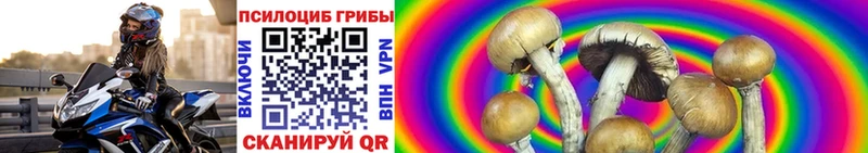 Псилоцибиновые грибы прущие грибы  Цимлянск 